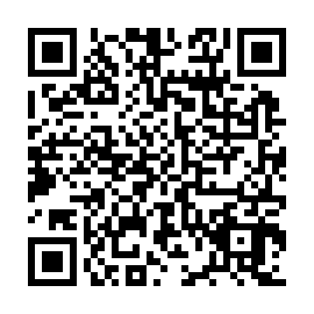 QR code for plate BV4-K028