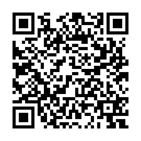 QR code for plate BZ1-K217