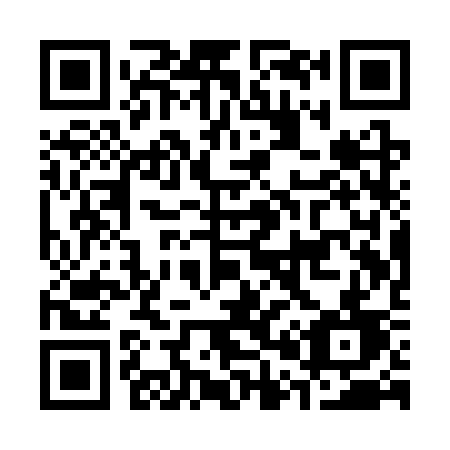 QR code for plate C01-SSD