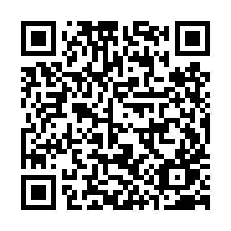 QR code for C19-DXT