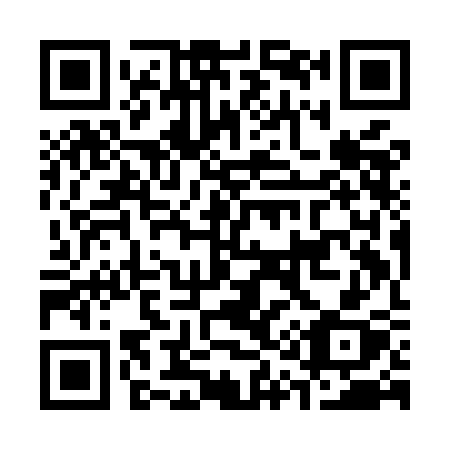 QR code for plate C19-MCX