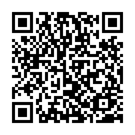QR code for C29-LOW
