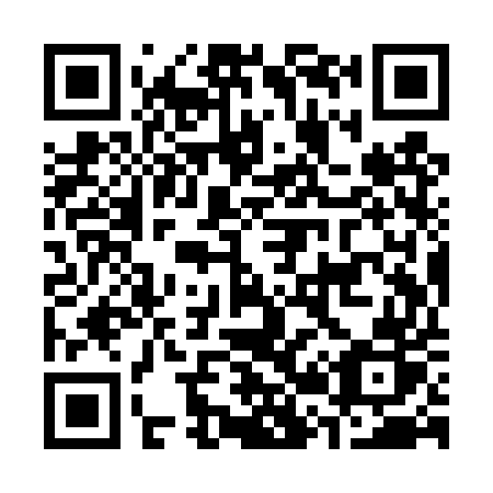 QR code for C29-TUR