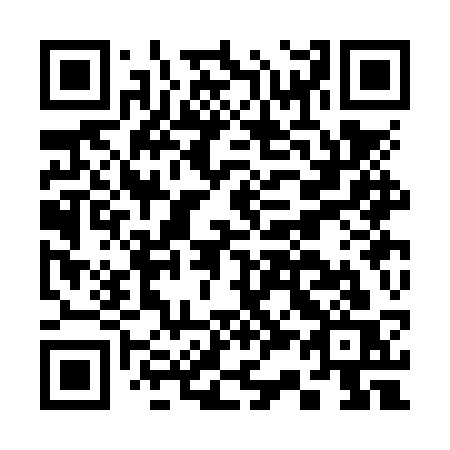 QR code for plate C33-NSS
