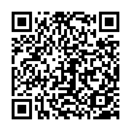 QR code for C38-ZPP