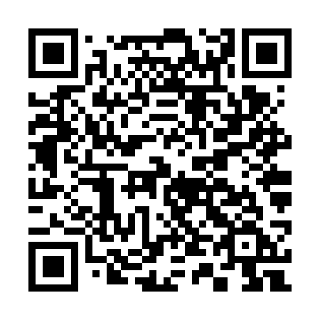 QR code for C46-VSF