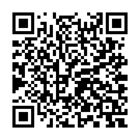 QR code for plate C54-UMT