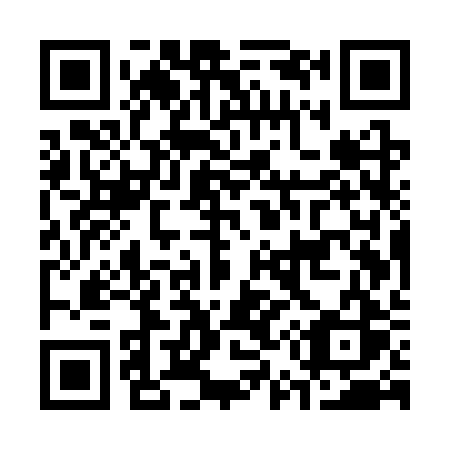 QR code for C55SRS