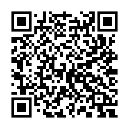 QR code for plate C60-YZB