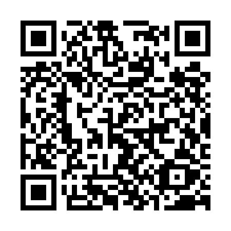 QR code for plate C63-UBZ