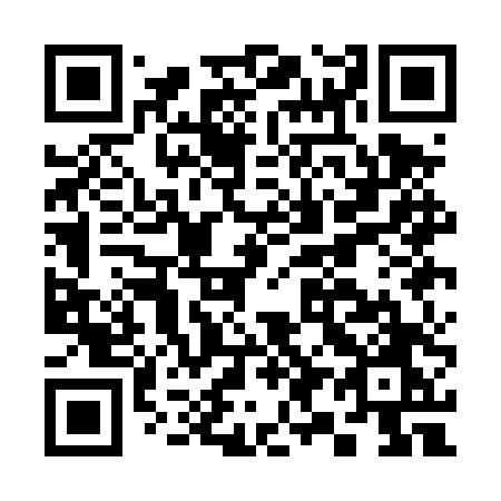 QR code for C91-DTO