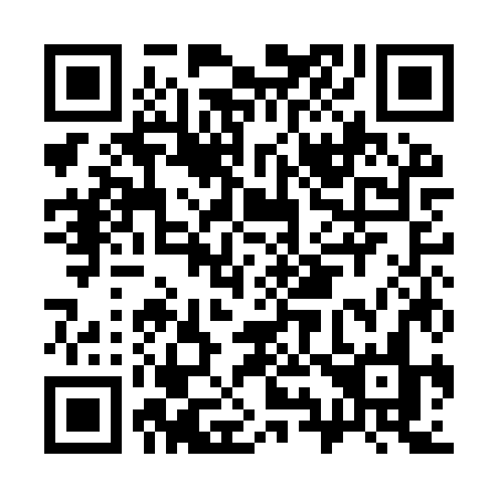 QR code for C91-IZN