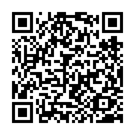 QR code for C95-VMX