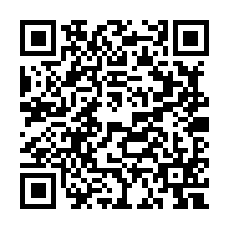 QR code for CF0-X953