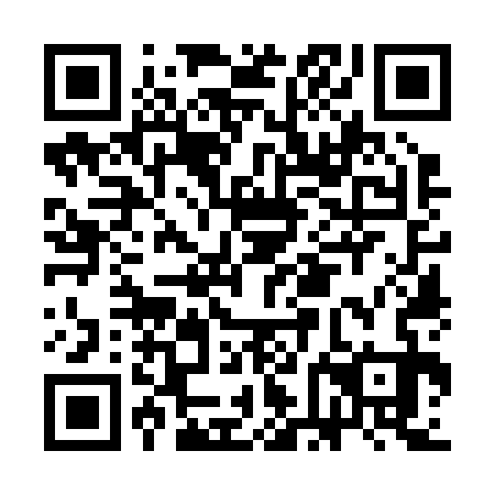 QR code for plate CFO-233