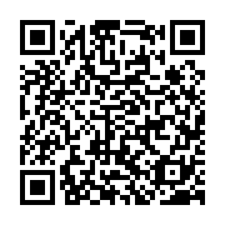 QR code for plate CFV-171