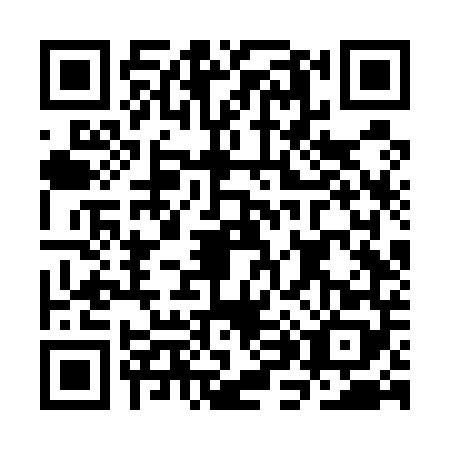 QR code for plate CH6-U483