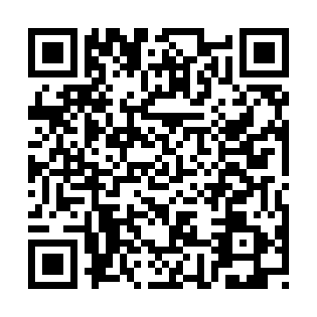 QR code for plate CH9-M515