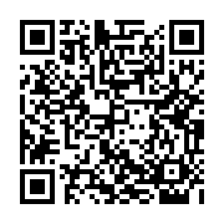 QR code for plate CH9-W606
