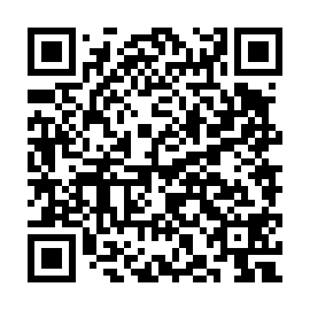 QR code for CHN418