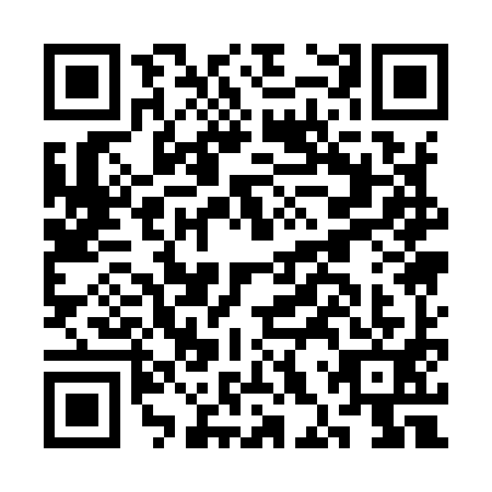 QR code for CHQ9919