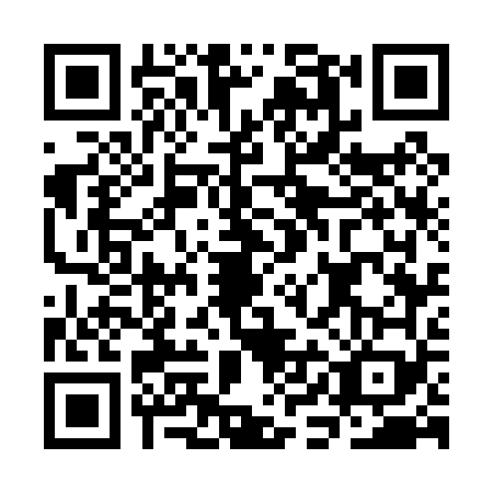 QR code for CIG0699