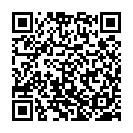 QR code for CJI-595