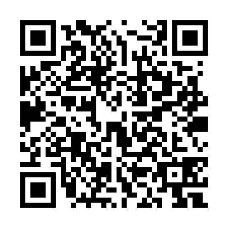 QR code for CK1-W381