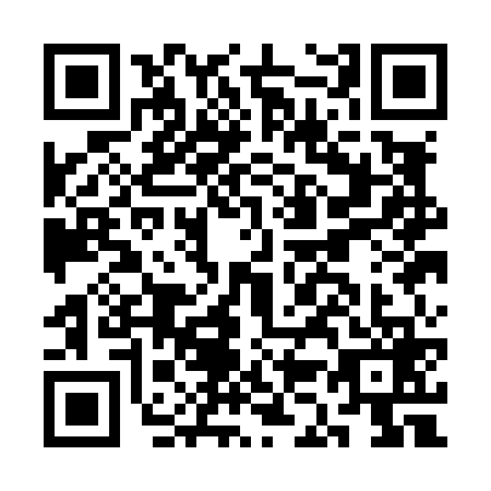 QR code for CK1L699