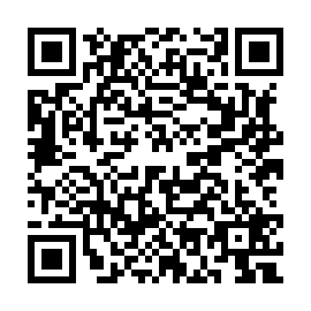 QR code for plate CO8-H295