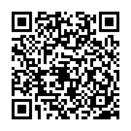 QR code for plate CO9-C728