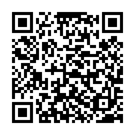 QR code for CPL493