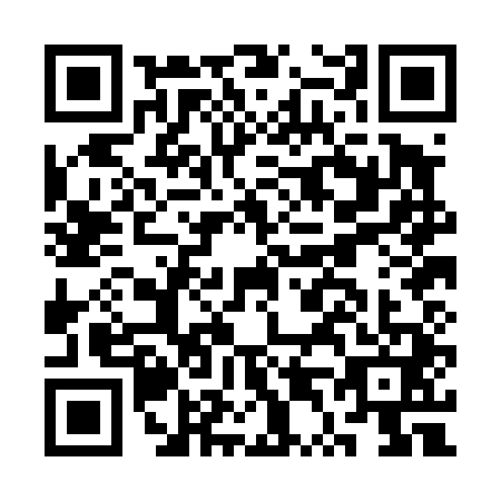 QR code for CT0D417