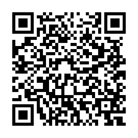 QR code for CT0N838
