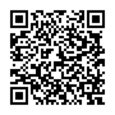 QR code for CT1-L863