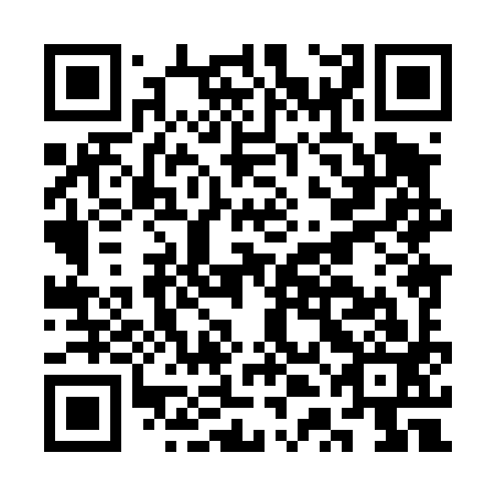 QR code for CTH-493