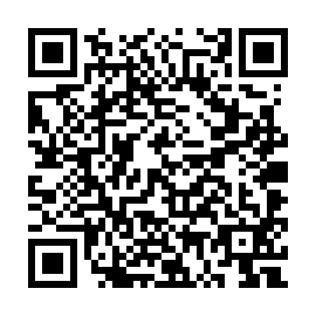 QR code for plate CW4-W920