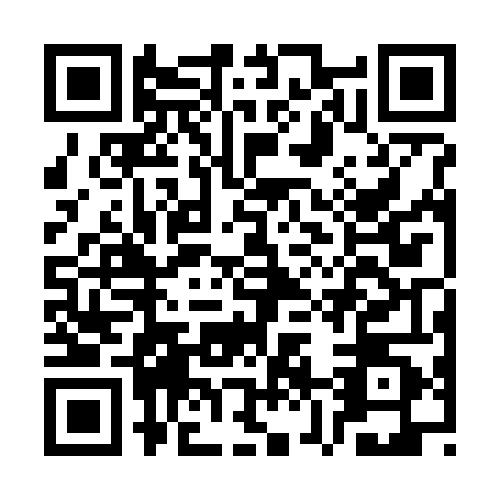 QR code for plate CZ2-W405