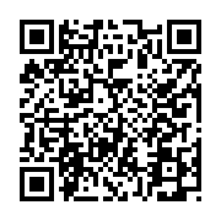 QR code for plate CZ4-N099