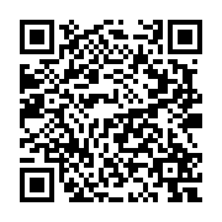QR code for plate CZ9-T271