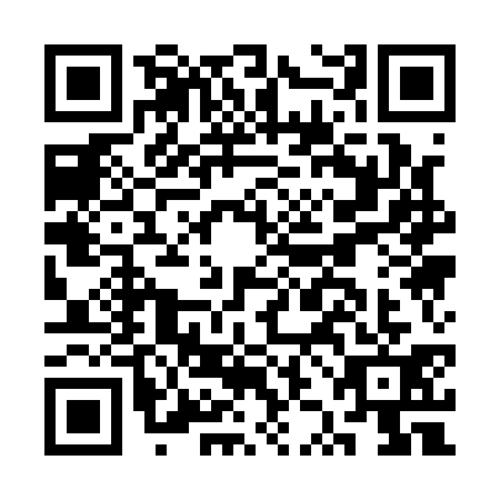 QR code for plate CZA-1317