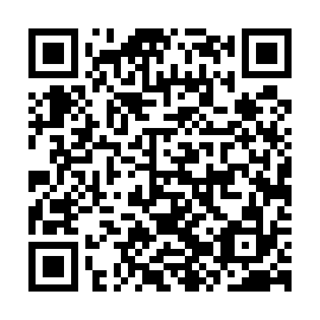 QR code for plate CZT-532