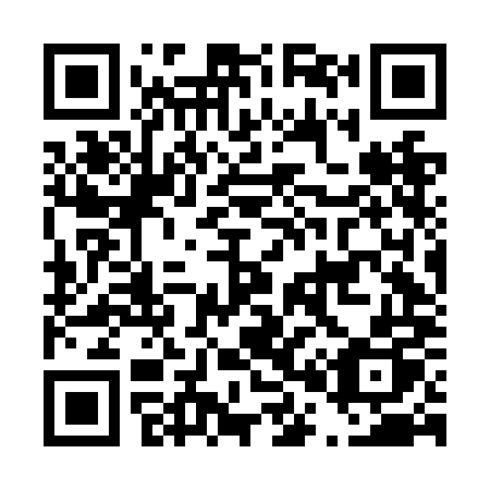 QR code for D06-NMP
