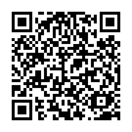 QR code for D11-DSM