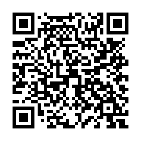 QR code for plate D34-NPM