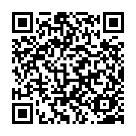 QR code for plate D46-YEM