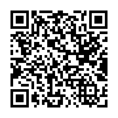 QR code for D91-PJT