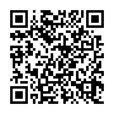 QR code for DAT738