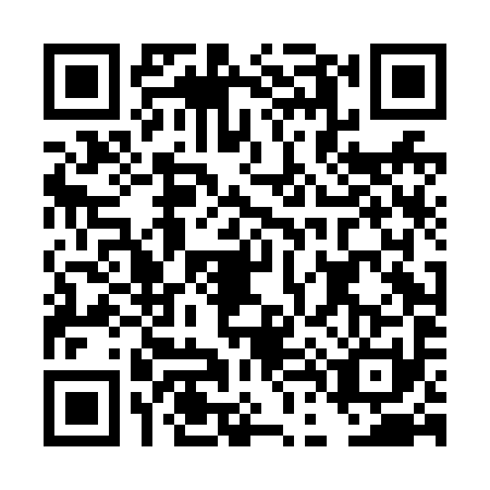 QR code for plate DD4-N919