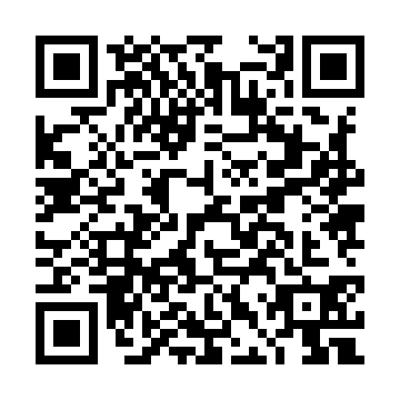 QR code for plate DDZ-9300